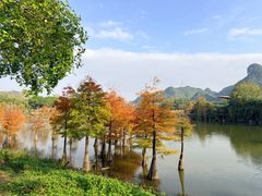 -南宁花花大世界景区