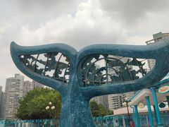 -海合安成都极地海洋公园