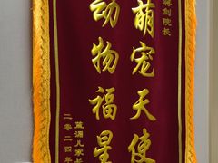 -瑞鹏宠物医院·骨外科·心肾科·肿瘤科(九亭店)