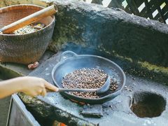 -巴厘岛黄金金兔咖啡工厂