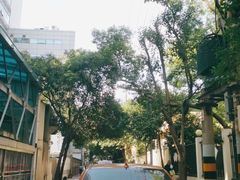 -上海交通大学医学院附属瑞金医院(总院)