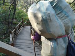 -大岭沟猕猴桃谷风景区