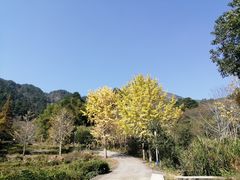 -南岳衡山风景名胜区