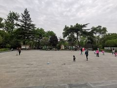 -莲湖公园