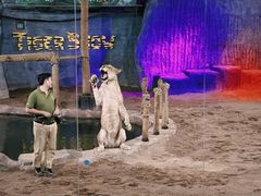 -清迈夜间动物园