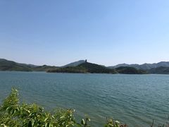 -望湖烤鱼
