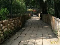 -小洲村