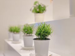 -香草山咖啡店·外教英语角·自习室(盛世商都店)