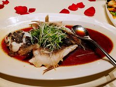 清蒸笋壳鱼-皇朝会.经典传统粤菜(外滩店)
