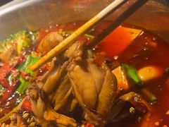 -宽口美蛙鱼头(大唐西市店)