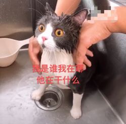 -ASG Hair Salon烫染·接发