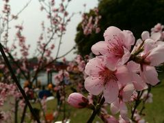 -美兰湖景区