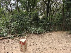 -黄埔油麻山森林公园