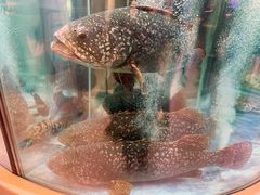 -海底捞大排档火锅(打浦路店)