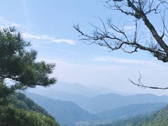 -王顺山国家森林公园