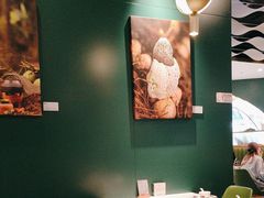 -烹然四季椰子鸡火锅(姚家园万象汇店)