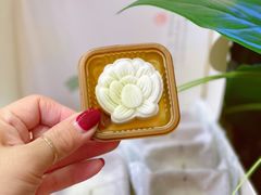 -阮大兴糕团(日月光中心店)