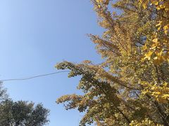 -日本风情街