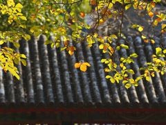 -颐和园