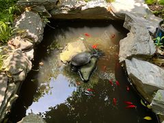 -谷咖啡·鲜花绿植花园餐厅
