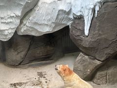 -海合安武汉极地海洋公园