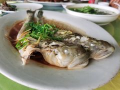 清蒸小龙鱼-淇沙湾渔村餐厅