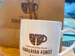 -喜马拉雅森HIMALAYAN FOREST