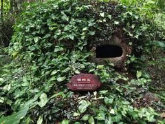 -呀诺达热带雨林