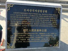 -帽儿山国家森林公园