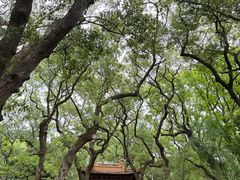 -普陀山风景名胜区-法雨禅寺