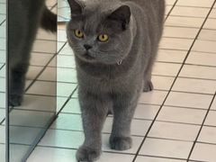 -ID.PHOTO照相馆(嘉里企业中心店)