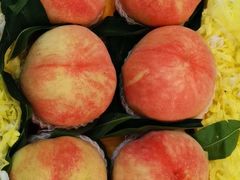 -新加坡泰园村酒楼直营(新华路店)