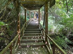 -大岭沟猕猴桃谷风景区