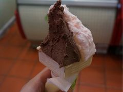 金牌朱古力-柠檬车露(卖草地店)