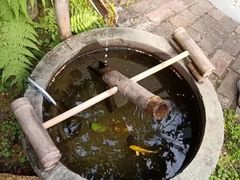 -小洲村