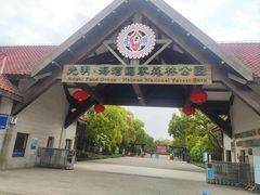 -上海海湾国家森林公园