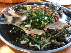 -石岐乳鸽村(桥观坊南四巷店)