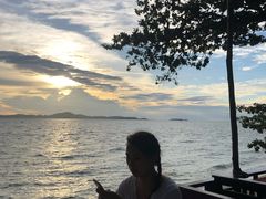 -卷心菜和避孕套餐厅(Pattaya)