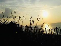 -枸杞岛