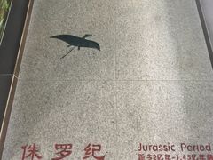 -中国第四纪冰川遗迹陈列馆