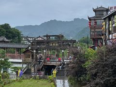 -印象鲵宴·张家界地标美食名片(溪布街店)