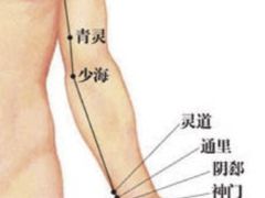 -裕和堂中医推拿艾灸(太古汇臻品店)