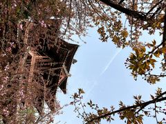 -西安青龙寺遗址景区
