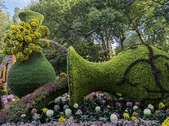 -杭州植物园