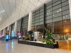 -郑州新郑国际机场-T2航站楼