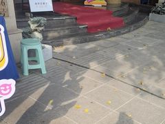 -子霖南山鲜虾面(南山总店)