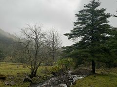 -硗碛藏寨·神木垒景区