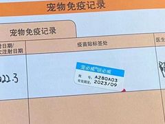 -猫冇咖·家门口的撸猫馆(大融城店)
