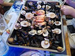 -第35届青岛国际啤酒节