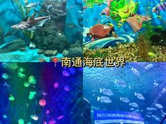 -南通濠河风景名胜区